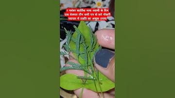 9 नवंबर कार्तिक मास अष्टमी के दि का उपाय #upay #kartikmas #ashtami #shivpuran #pradeepmishrajikeupay