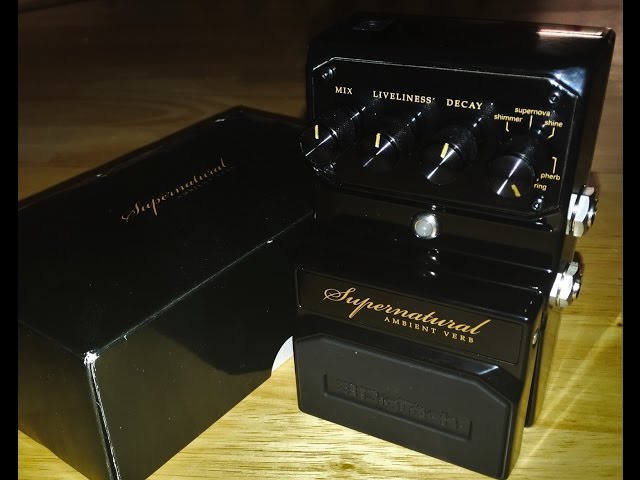 ギター Pedaldiggers SuperNatural DigiTech Supernatural Ambient Reverb Pedal | zZounds