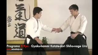 Examen Grad 5 Kyu - Programa Aikido Aikikai Mirai Dojo Bucuresti