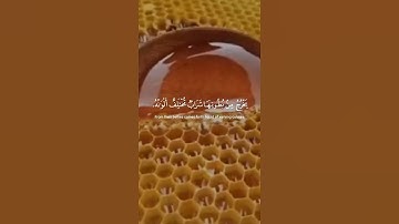 وَأَوۡحَىٰ رَبُّكَ إِلَى ٱلنَّحۡلِ أَنِ ٱتَّخِذِي مِنَ ٱلۡجِبَالِ بُيُوتٗا |سورة النحل |كرومات قرآن