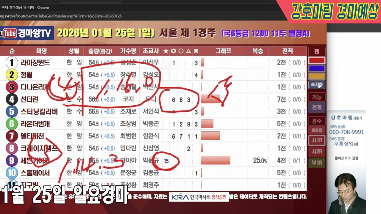 2026 년 1 월 25 일 일요경마예상