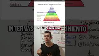 Explaining Maslow's Hierarchy of Needs #management #maslow #psychology #socialwork #motivation Explaining Maslow's Hierarchy of Needs #management #maslow #psychology #socialwork #motivation