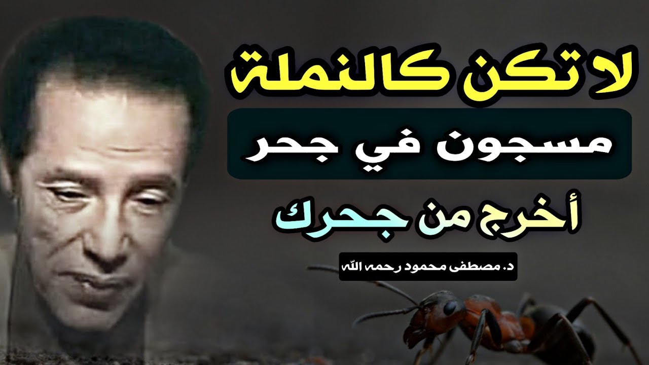 لماذا أكثرنا نمل و صراصير؟ اكتشف كيف يمكننا التحرر من قيود الحياة اليومية مع الدكتور مصطفى محمود