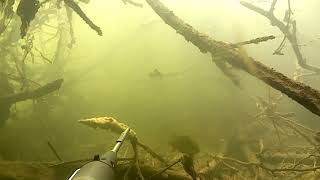 Река Ворона подводная охота 08.08.20.
