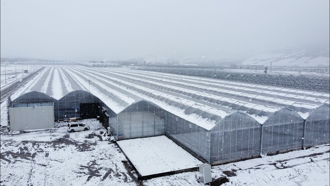 Fidan Dikimlerimiz Gerçekleşiyor!