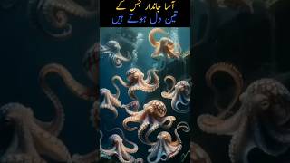 Octopus have three heart #facts #shorts