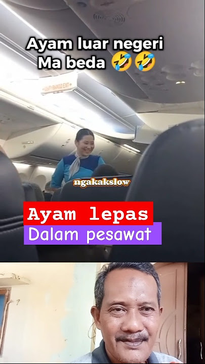 Naik pesawat Ayamnya kabur😃 #shorts #short #funny #memes  #ngakakslow