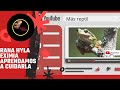 Rana Hyla Eximia - Aprendamos a cuidarla