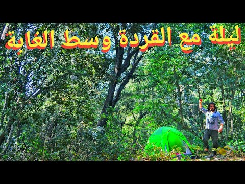 ليلة وسط الغابة قبل الوصول الى بحيرة ويوان