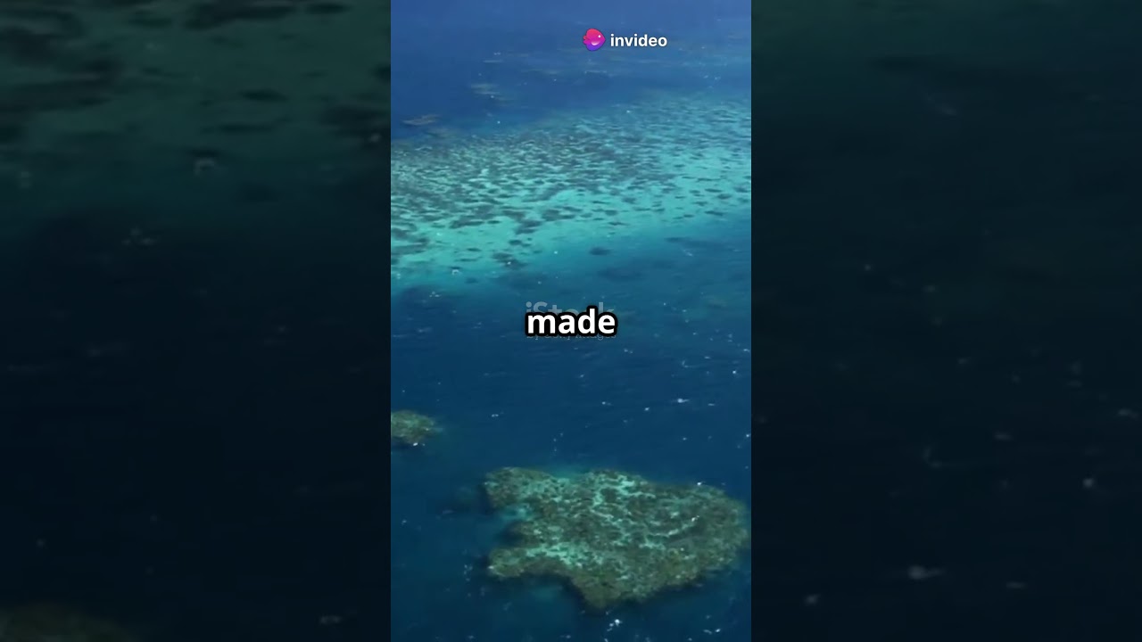 Mira The Great Barrier Reef from Space! en YouTube Mira The Great Barrier Reef from Space! en YouTube