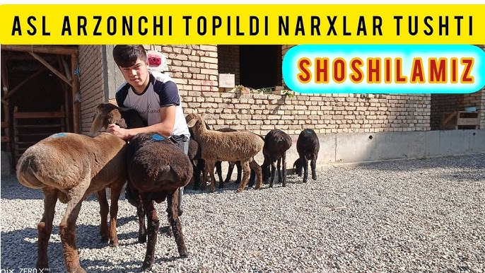 Dizayni iPhone 7 ga oxshash telefonlar Anal porno pikap rassomlar uchun