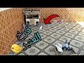 تربية الحمام للمبتدئين فرخ حمام العنبر خرج من المحكر لاول مرة في حياته 