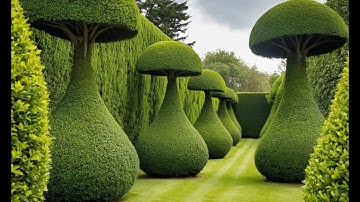 The Art of Topiary: Shaping Nature into Stunning Forms