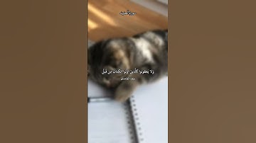 ﴿أَلَم يَأنِ لِلَّذينَ آمَنوا أَن تَخشَعَ قُلوبُهُم لِذِكرِ اللَّهِ﴾ القارئ سعد الغامدي .