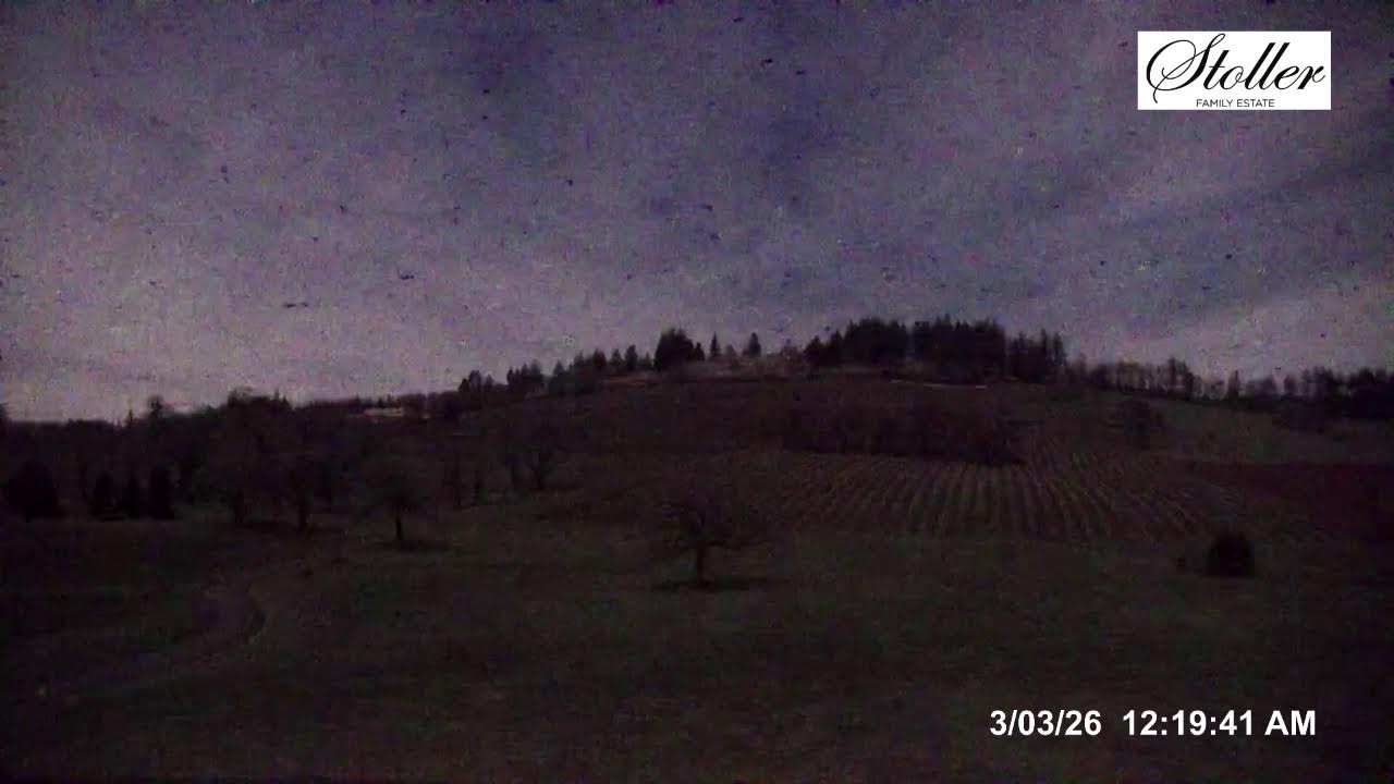 Stoller Family Estate in Dayton OR