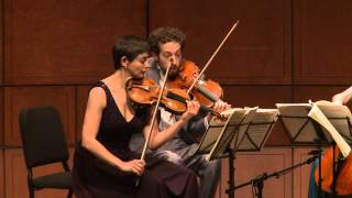 Beethoven String Quartet Op. 18 No. 4 in C Minor, I: Allegro, ma non tanto - Ariel Quartet (excerpt)
