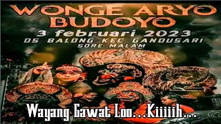 Live Streaming Jaranan WAB Wonge Aryo Budoyo Ds Balong Kec Gandusari Kab Blitar 2023