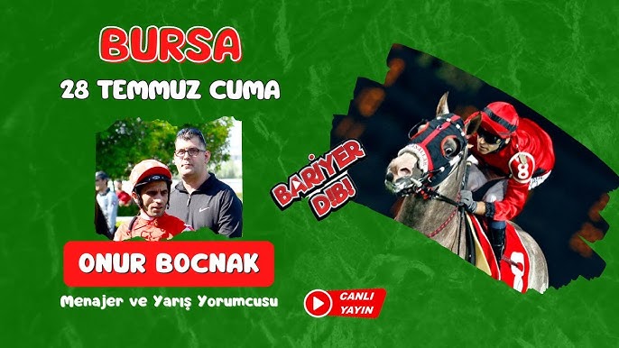 fenasi ne demek