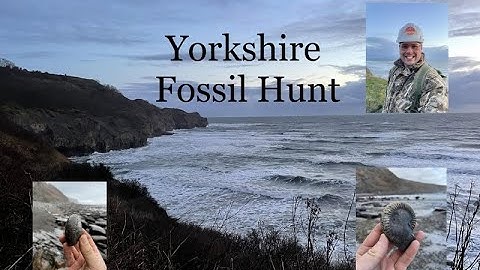 Fossil Hunting Sandsend march 2025 #fossils #fossilhunting #ammonites
