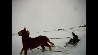 Epic sledding pony !! First time driving Skully