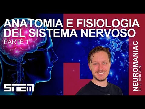 Video: Qual è la funzione dell'anatomia e della fisiologia?