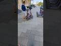 ТИПИЧНАЯ ПРОГУЛКА, ПРИСТАЛ К КОТУ И СОБАКЕ!!! #юмор #прикол #пранк #мем #шутка #пранки