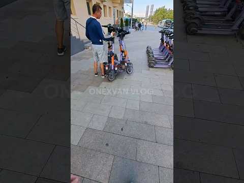 ТИПИЧНАЯ ПРОГУЛКА, ПРИСТАЛ К КОТУ И СОБАКЕ!!! #юмор #прикол #пранк #мем #шутка #пранки