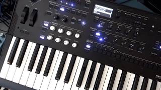 Korg Wavestate FREE SOUNDPACK 1 | Efímer