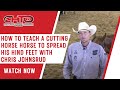 How To Teach A Cutting Horse Horse To Spread His Hind Feet With Chris Johnsrud