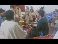 Zama Pagal Janana | Pashto Ghazal | Pashto Music | Mp3 Song