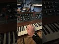 Mono/Poly + 808 + Minimoog ⚡️ #synth