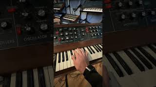 Mono/Poly + 808 + Minimoog ⚡️ #synth