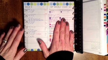 Focus On: The Weekly View (DIYFish Lifemapping Inserts)