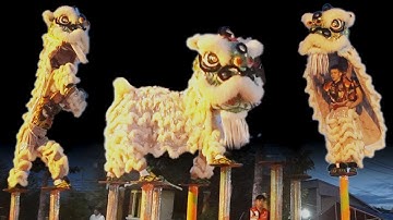 Múa Lân 2025 đoàn LSR Linh Nghĩa nhảy Mai Hoa Thung liên hoan Lân Sư Rồng Vệ Thủy Thần Miếu