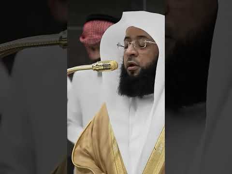 وقال نوح ربي لا تذر علي الارض من الكافرين ديارا بدر التركي