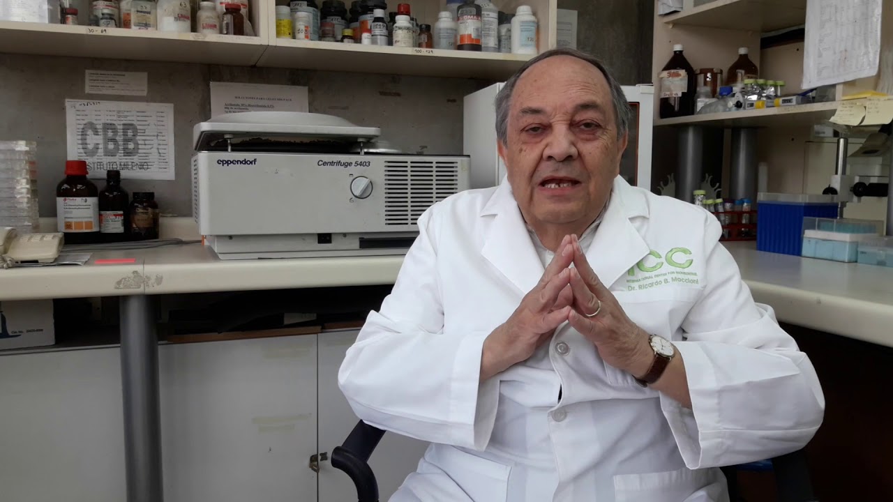 Brain Up 10 Mente Activa