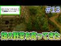 【初見】今年もきたぜ!あの頃の夏に戻って懐かしくなろう!! #13【ぼくのなつやすみ3】【ぽんすけ】