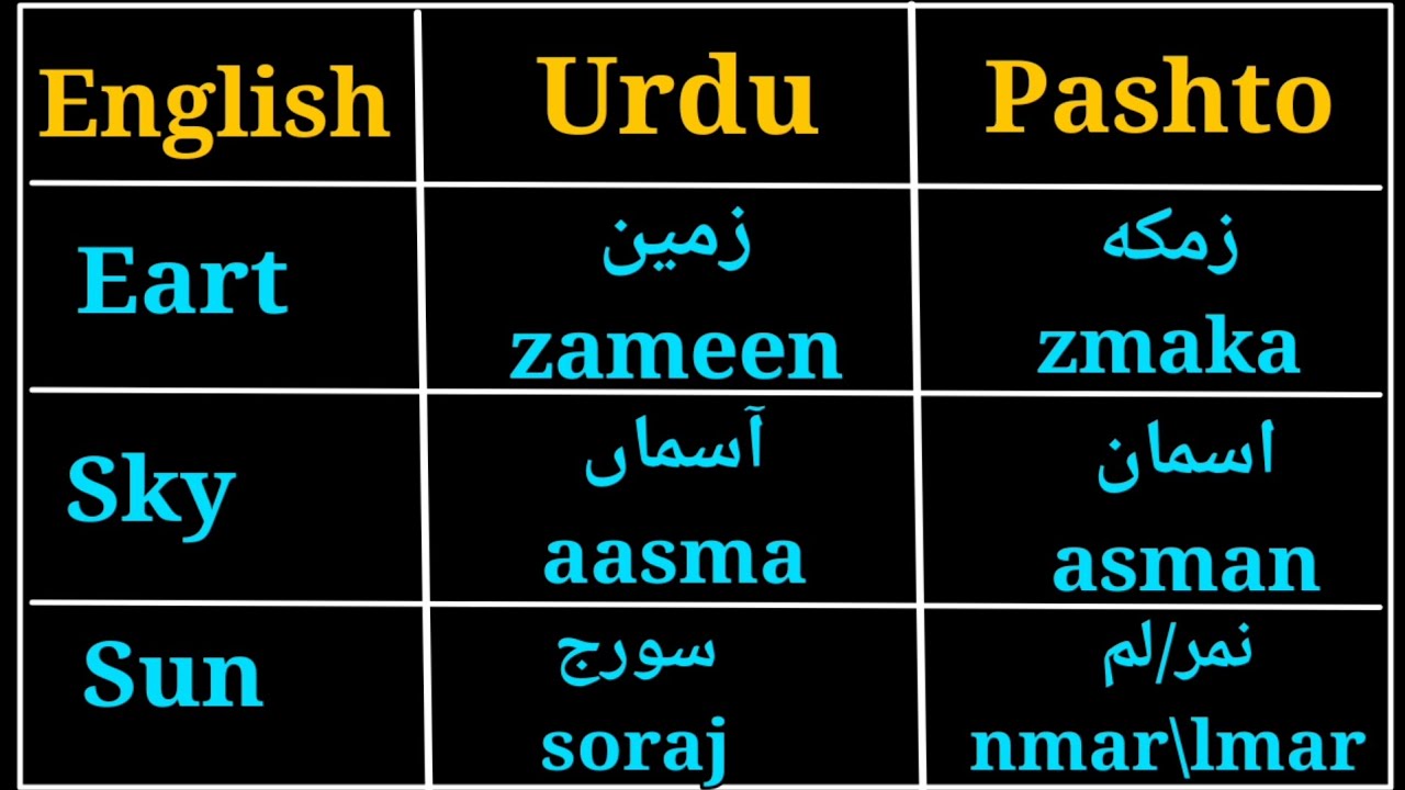 Learn Basic Pashto Words | Easy & Fun Beginner Lessons
