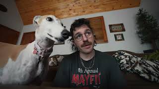 one julen two greyhounds