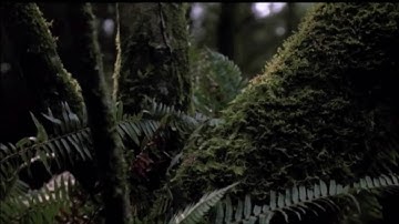 E.T - The Extra Terrestrial  HD Video clip