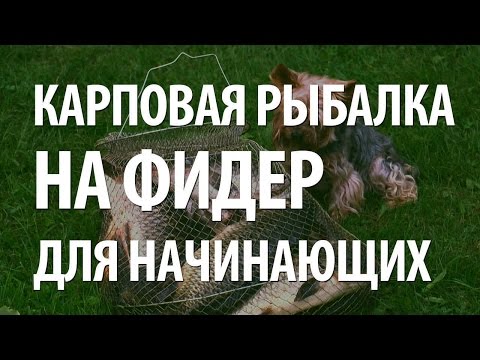 рыбалка для начинающих оснастка фидера