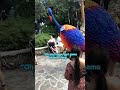 Have you spotted Kevin at Disney’s Animal Kingdom? She’s pretty hard to miss! #disneyworld