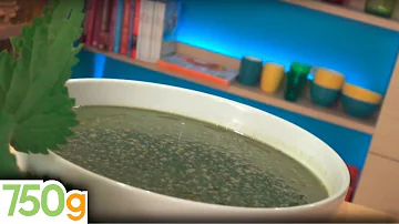 Quand cueillir les orties pour la soupe ?