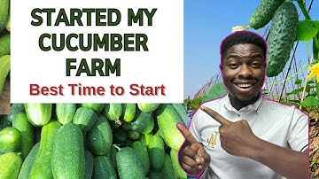 I STARTED A CUCUMBER FARM IN 2025. HERE IS HOW. Best Time To Make Money