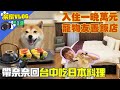 帶奈奈去吃日本料理!還住了一晚一萬元的寵物友善飯店?｜奈家VLOG｜【柴犬Nana(奈奈)和阿楞】