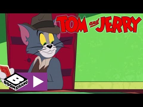 Tom & Jerry Show I Yardımcı Tom | Cartoonito Türkiye