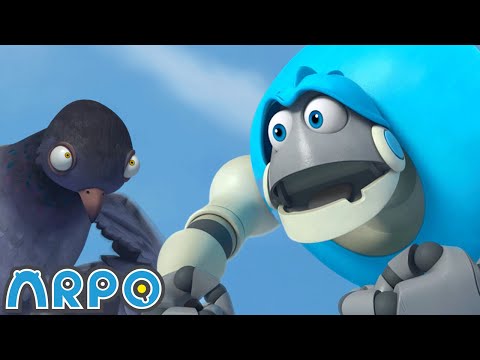 O ataque do pombo 🕊️ ARPO o Robô em Português | Desenhos Animados