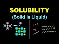 SOLUBILITY of Solid in Liquid 🔴 Solutions 3.1 🔴 Class 12 Chemistry