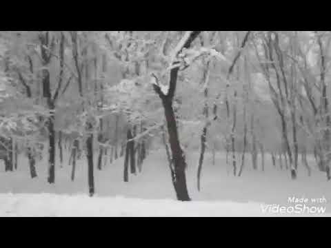 თეთრი წყარო.