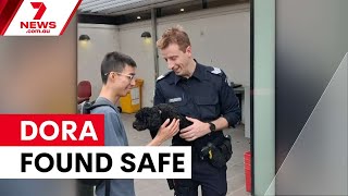 Stolen Cavoodle Dora Reunited With Family 7News